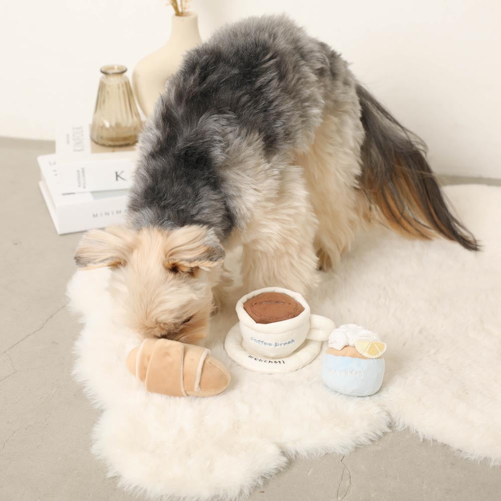 Cafe time toy SET