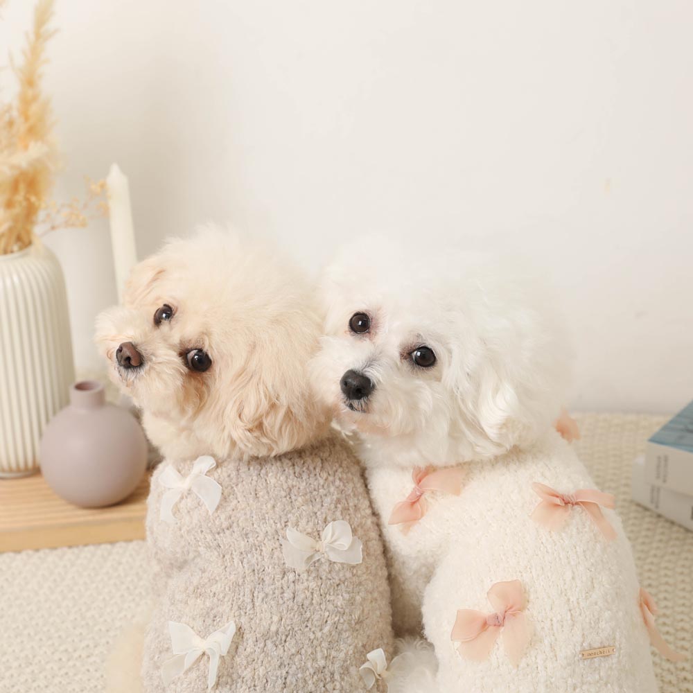 Organdy ribbon motif knit