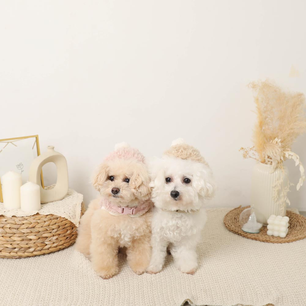 Boa pom pom harness + lead SET [Compatible with name embroidery]