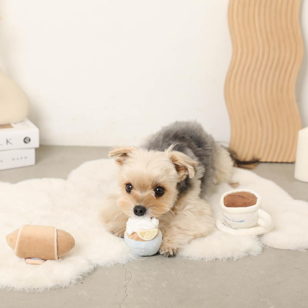Cafe time toy SET