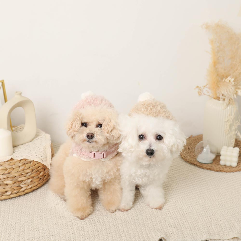 Boa pom pom harness + lead SET [Compatible with name embroidery]