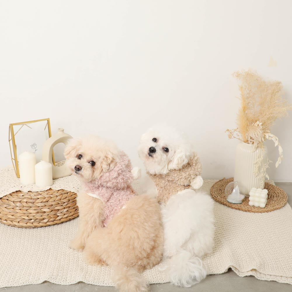 Boa pom pom harness + lead SET [Compatible with name embroidery]