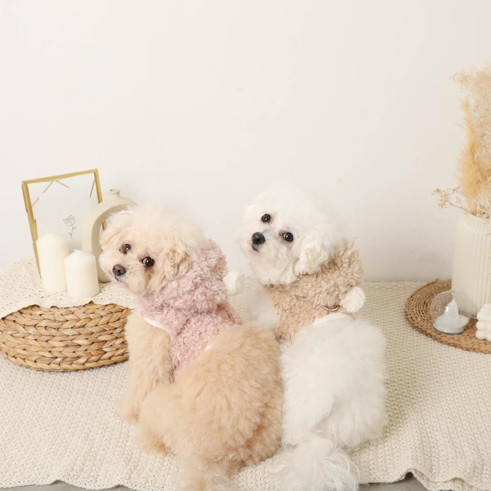 Boa pom pom harness + lead SET [Compatible with name embroidery]