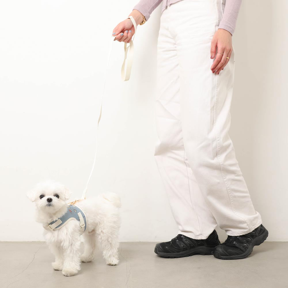 Car pattern harness + leash SET [Name embroidery available]