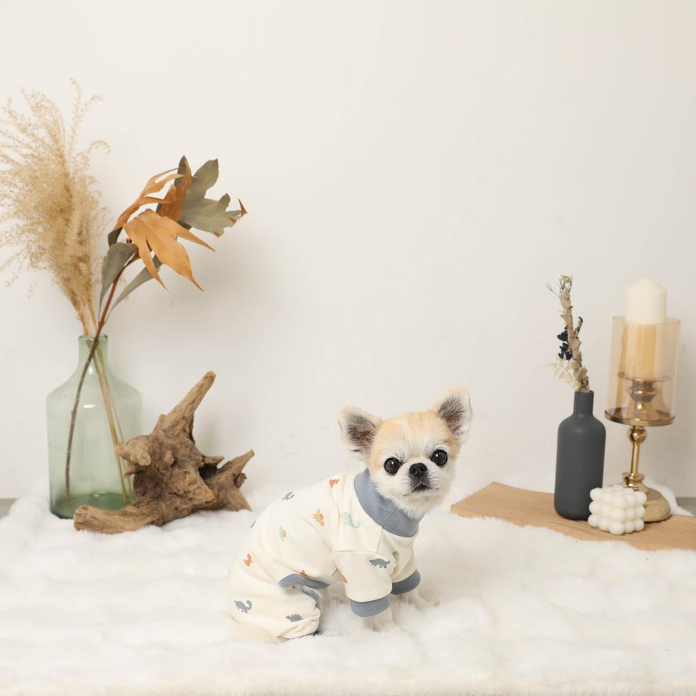 Thermal dinosaur pattern stretch romper