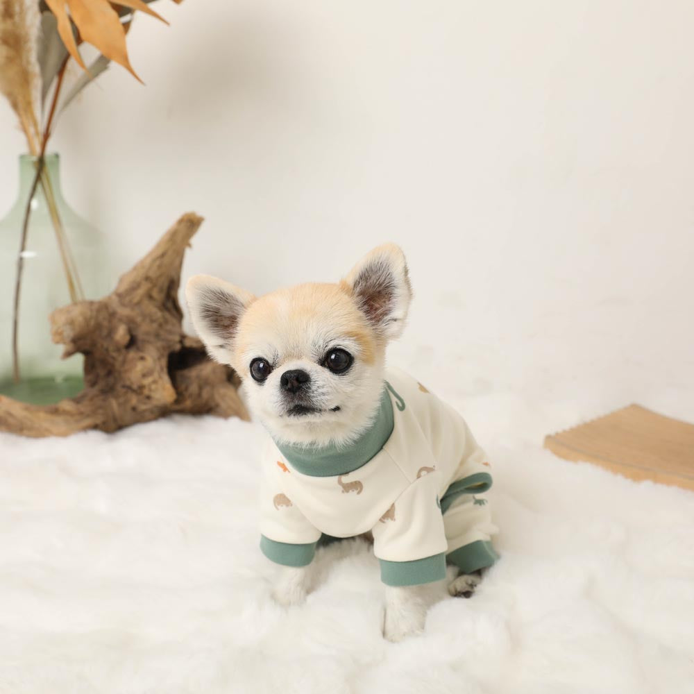 Thermal dinosaur pattern stretch romper