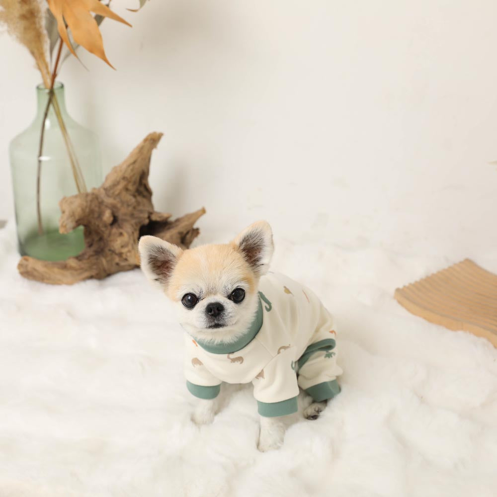 Thermal dinosaur pattern stretch romper