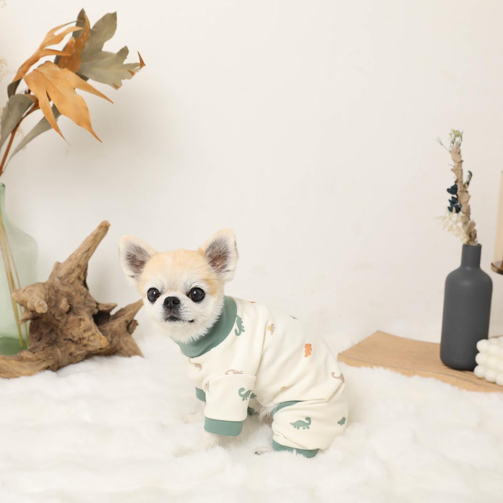 Thermal dinosaur pattern stretch romper