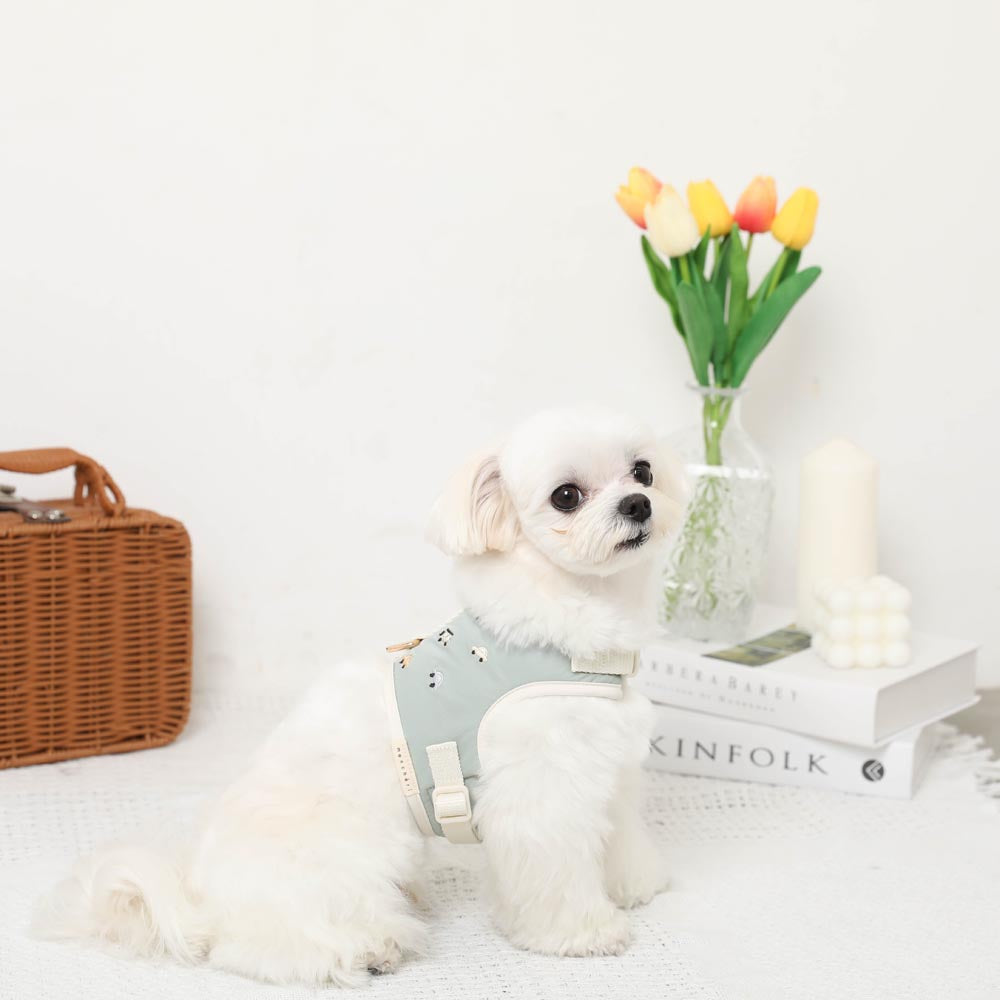 Car pattern harness + leash SET [Name embroidery available]