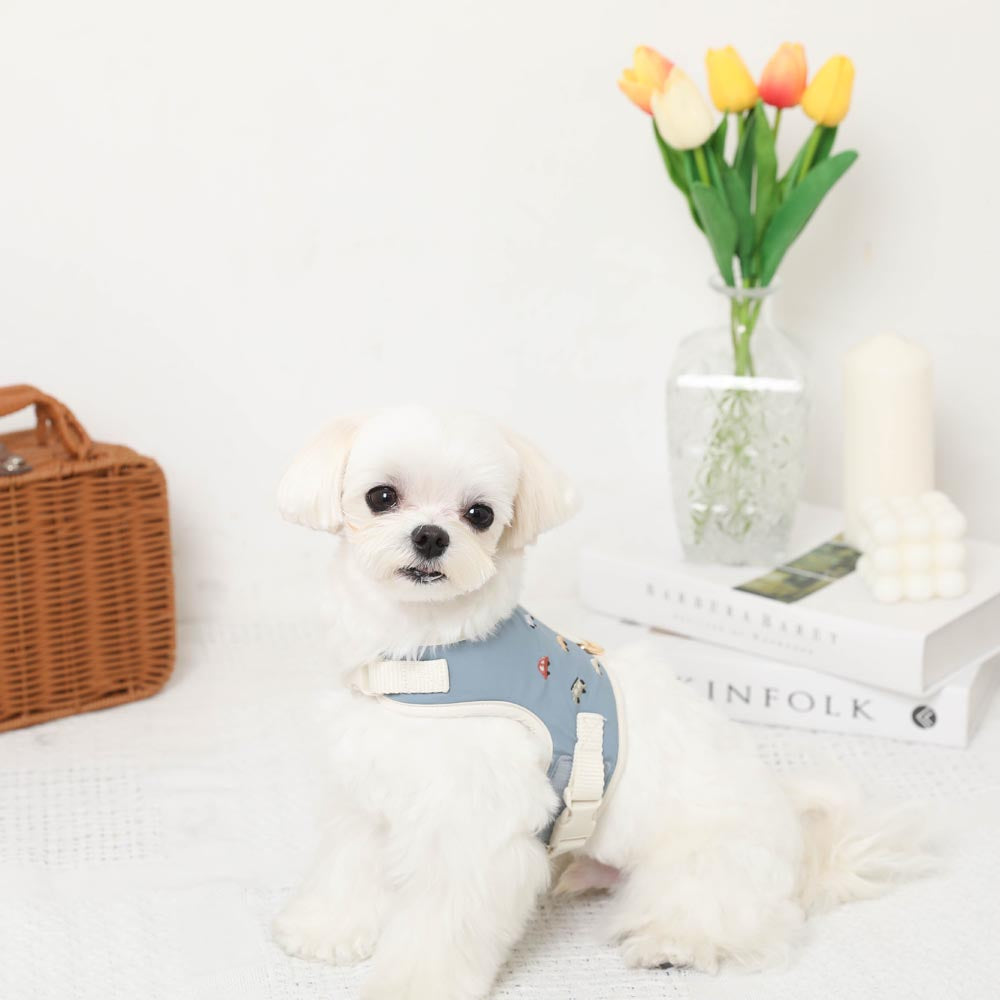 Car pattern harness + leash SET [Name embroidery available]