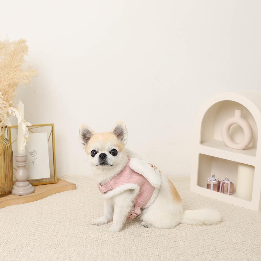 Angel Harness + Lead SET [Compatible with name embroidery]