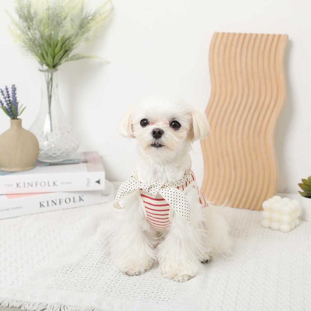 Cold feeling insect repellent neck ribbon summer bear sleeveless tops [cold pack compatible]