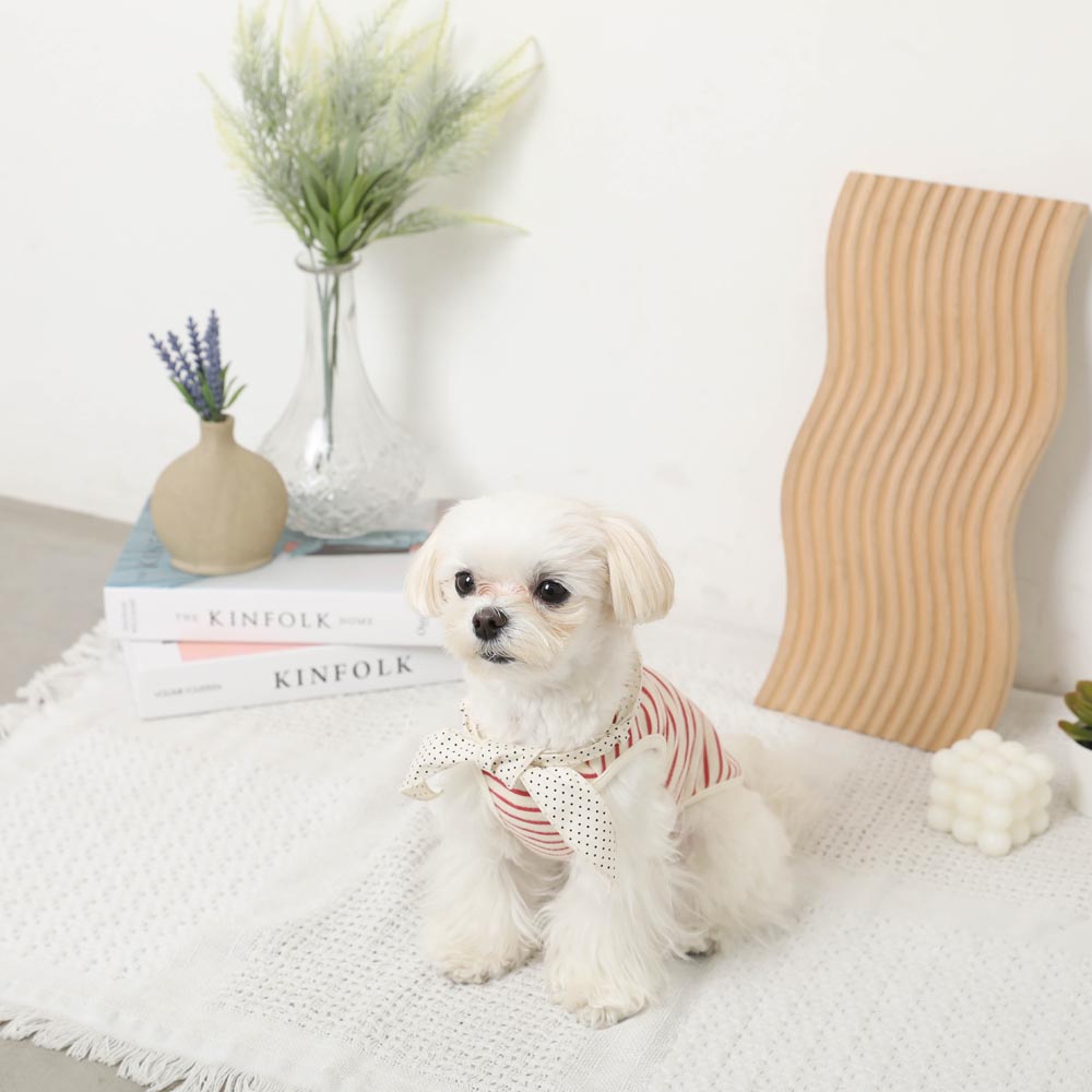 Cold feeling insect repellent neck ribbon summer bear sleeveless tops [cold pack compatible]