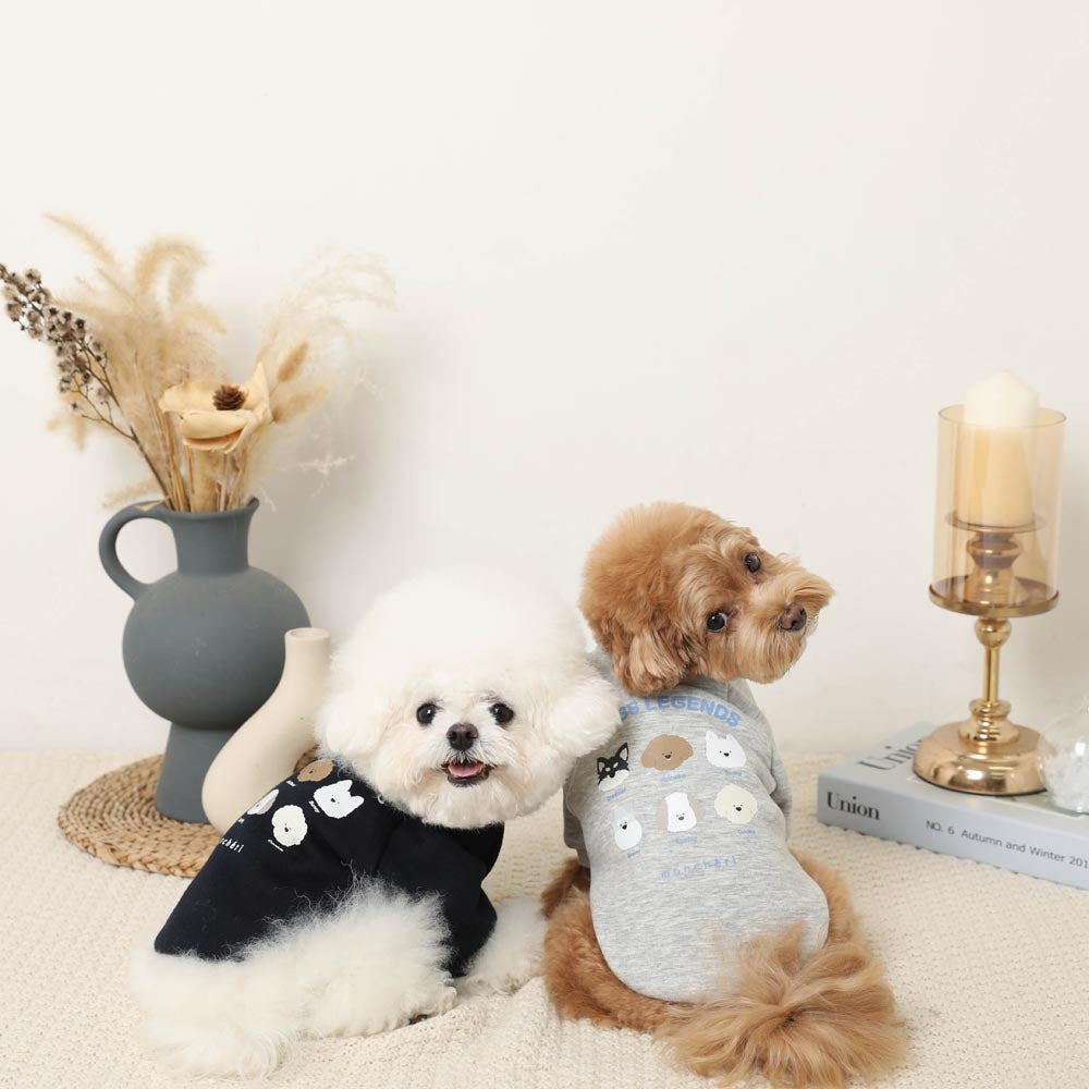 Dog Friend Trainer