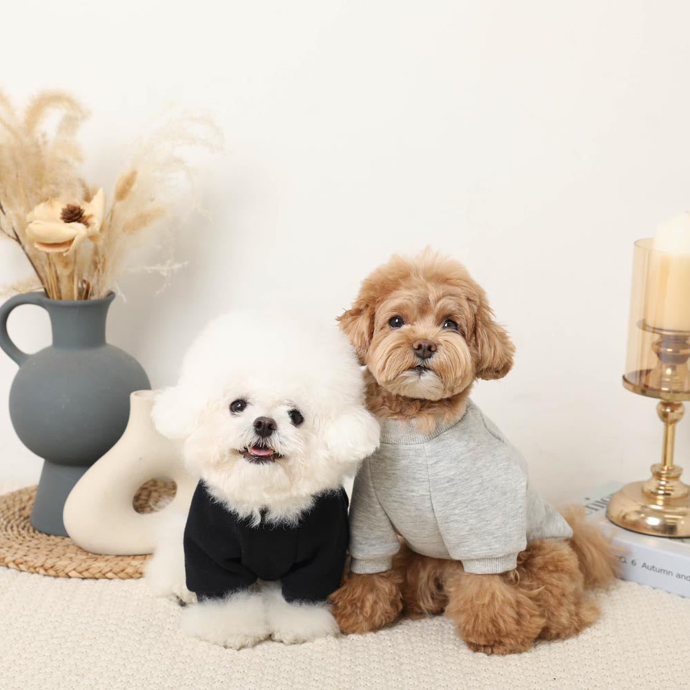 Dog Friend Trainer