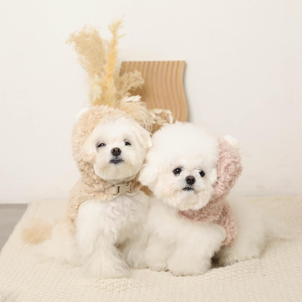 Boa pom pom harness + lead SET [Compatible with name embroidery]