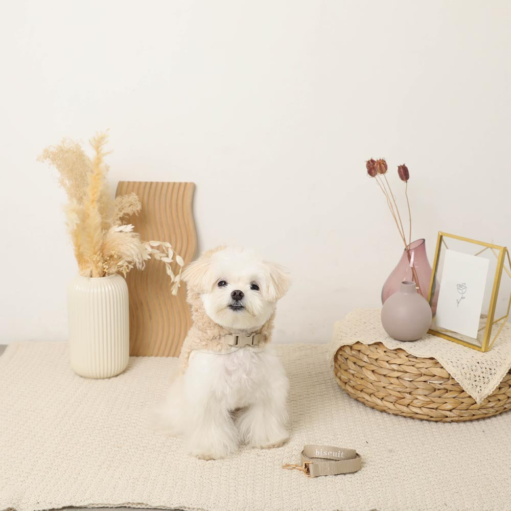 Boa pom pom harness + lead SET [Compatible with name embroidery]