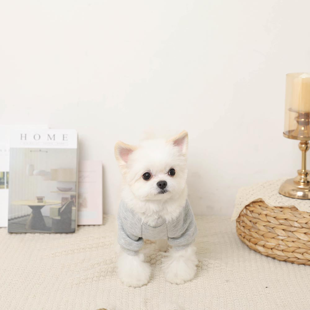 Dog Friend Trainer