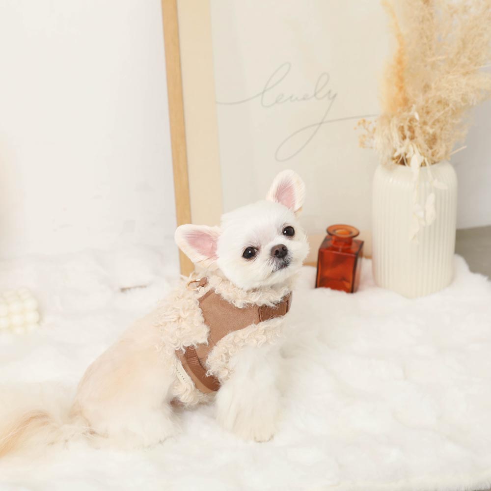 小物を探す | ドッグウェア・犬服通販 - monchéri(モンシェリ)