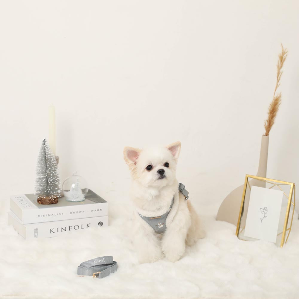 Snowman pattern embroidered boa harness + lead set [Name embroidery available]