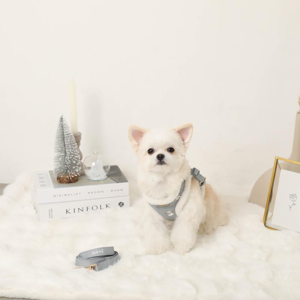 Snowman pattern embroidered boa harness + lead set [Name embroidery available]