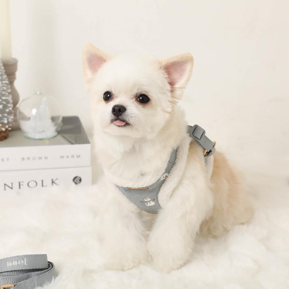 Snowman pattern embroidered boa harness + lead set [Name embroidery available]