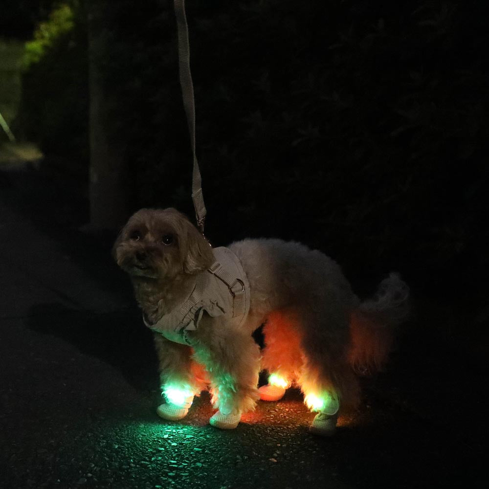 ライトメッシュシューズ
