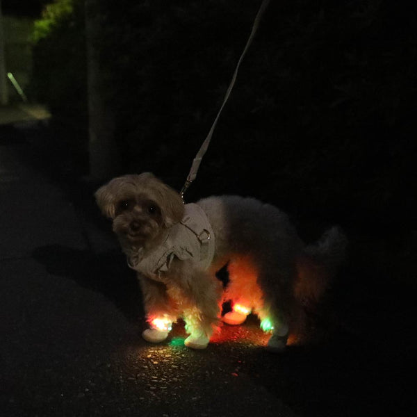 ライトメッシュシューズ