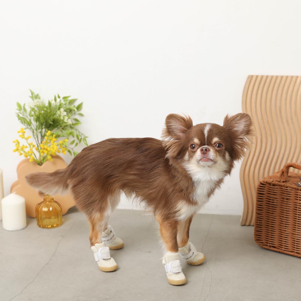 小物を探す | ドッグウェア・犬服通販 - monchéri(モンシェリ)
