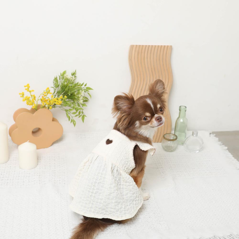 犬の洋服を探す | ドッグウェア・犬服通販 - monchéri(モンシェリ)