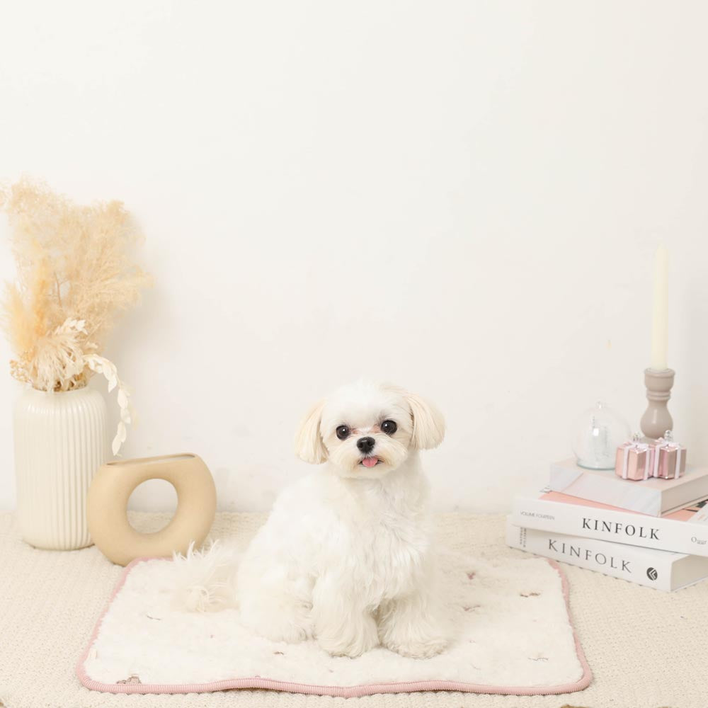 Bear ribbon embroidery boa cafe mat [Compatible with name embroidery]