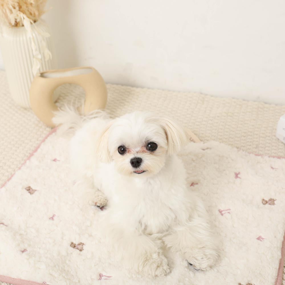 Bear ribbon embroidery boa cafe mat [Compatible with name embroidery]