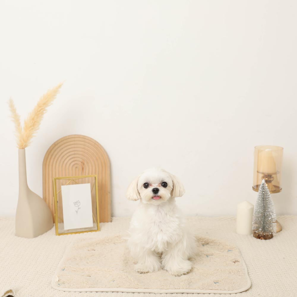 Bear ribbon embroidery boa cafe mat [Compatible with name embroidery]