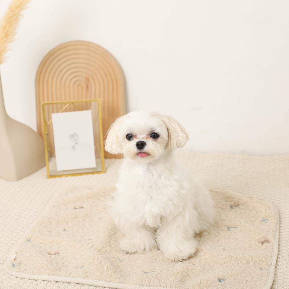 Bear ribbon embroidery boa cafe mat [Compatible with name embroidery]