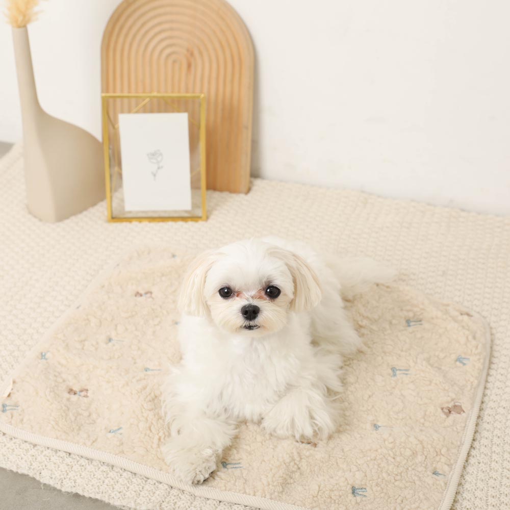 Bear ribbon embroidery boa cafe mat [Compatible with name embroidery]