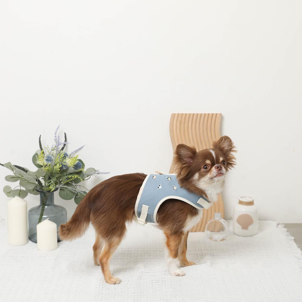 Car pattern harness + leash SET [Name embroidery available]