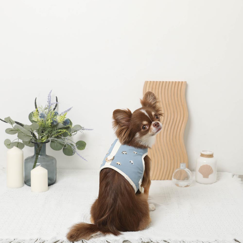 Car pattern harness + leash SET [Name embroidery available]
