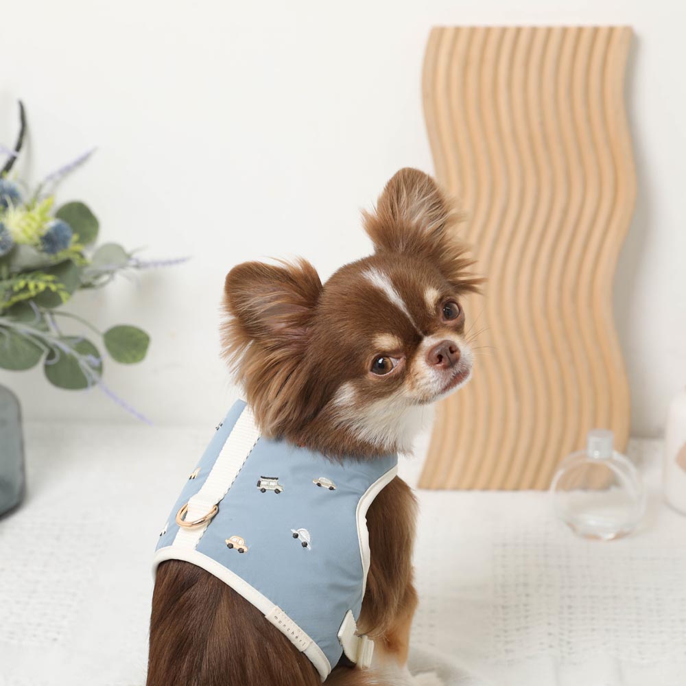 Car pattern harness + leash SET [Name embroidery available]