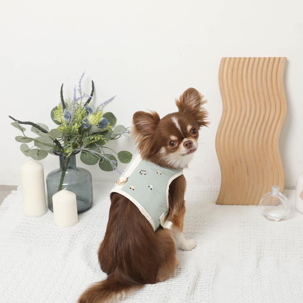 Car pattern harness + leash SET [Name embroidery available]