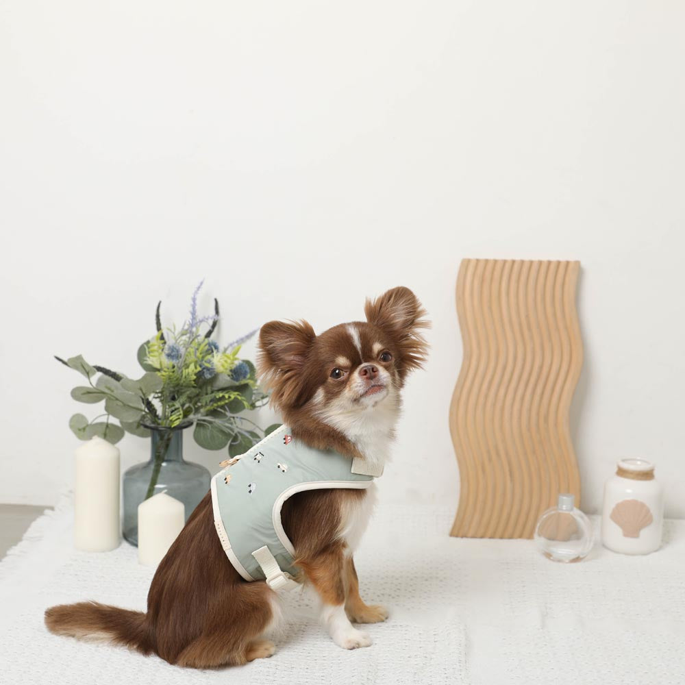 Car pattern harness + leash SET [Name embroidery available]