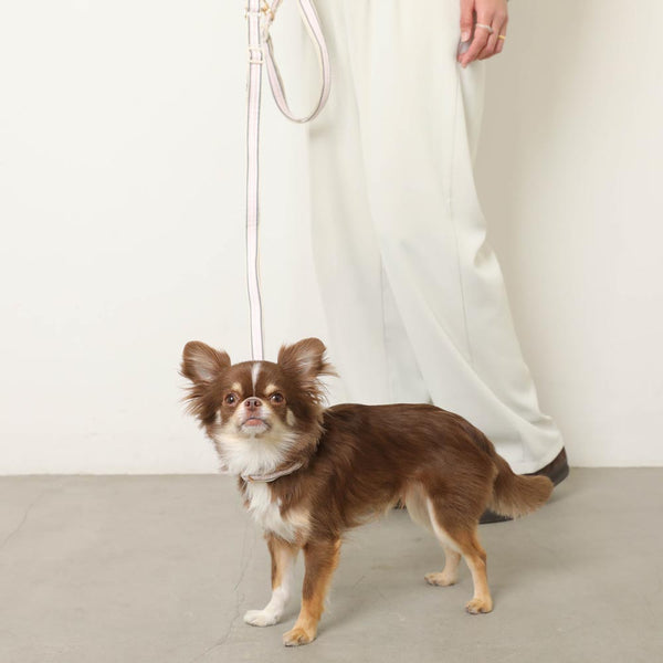 2way反射チェック柄リード