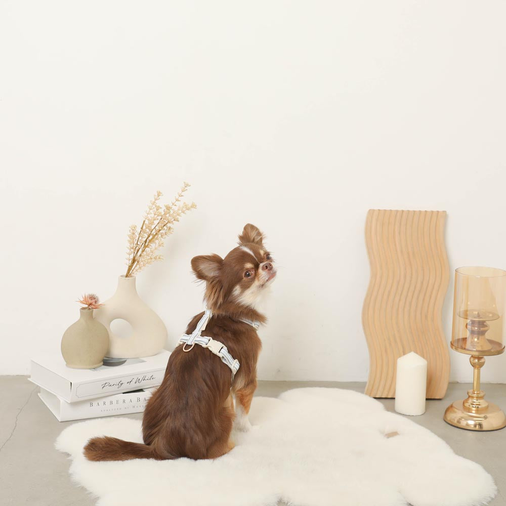 reflective plaid harness