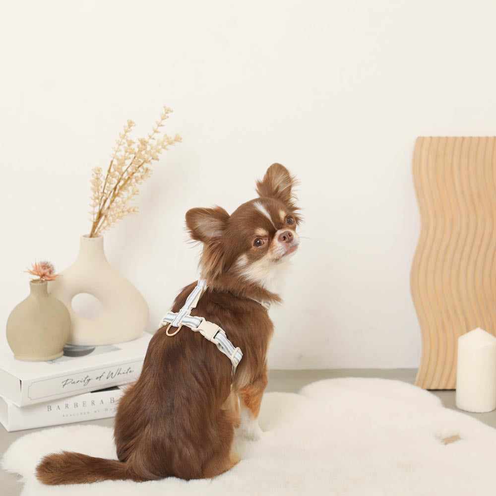 reflective plaid harness