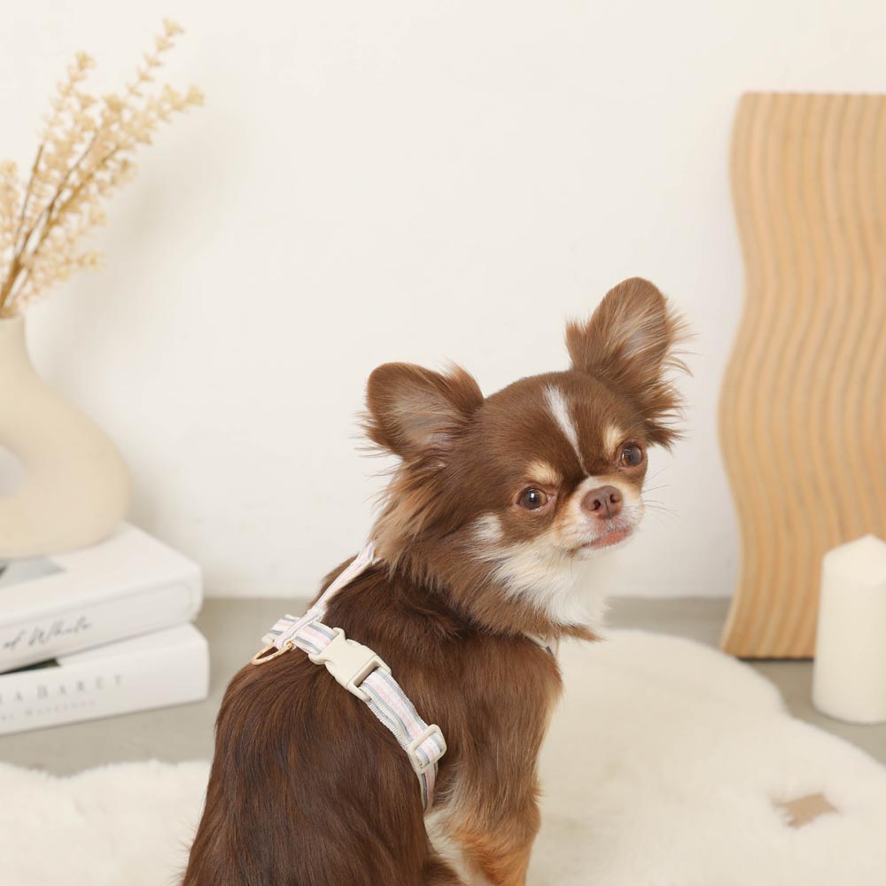 reflective plaid harness