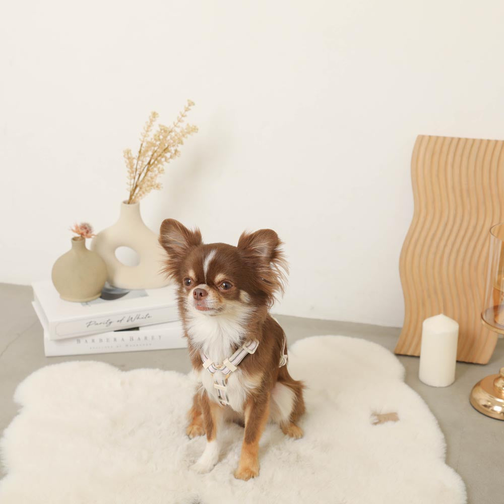 reflective plaid harness