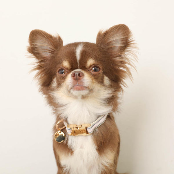 反射チェック柄バックルカラー【名入れ彫刻対応】