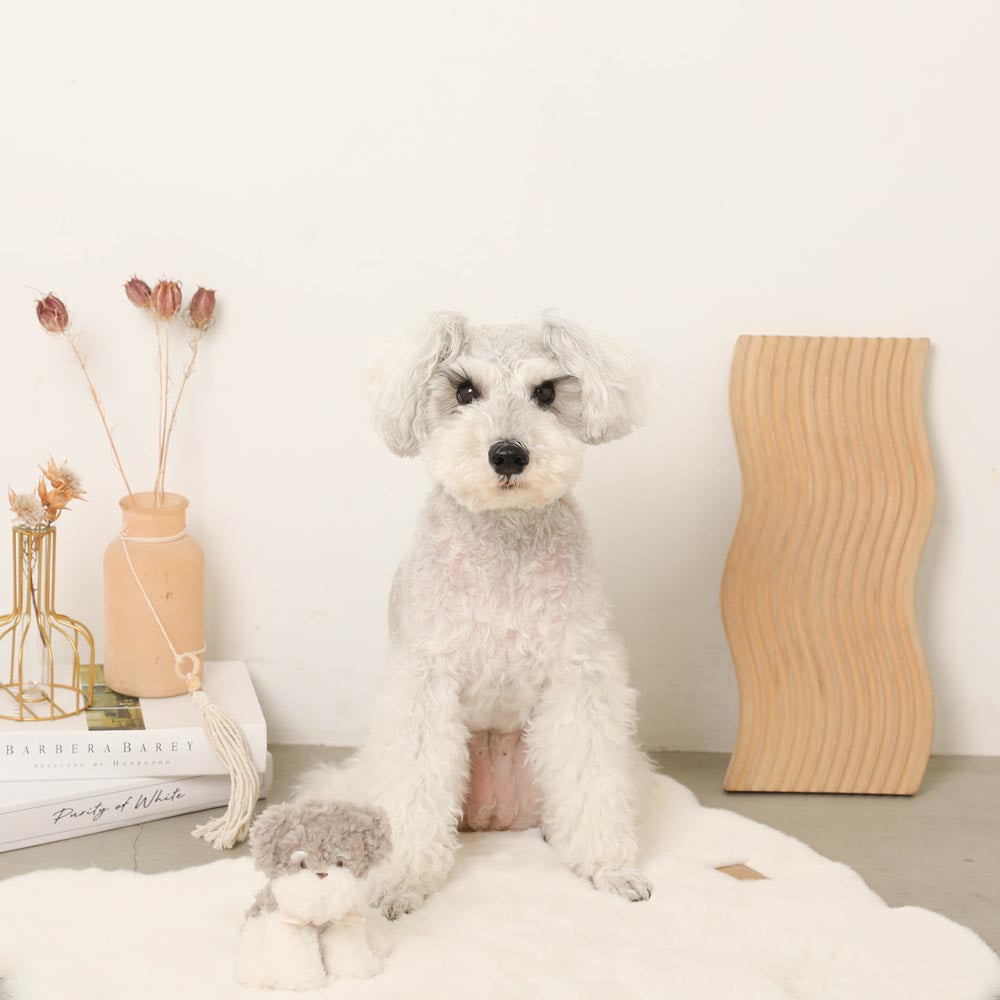 gray dog stuffed toy