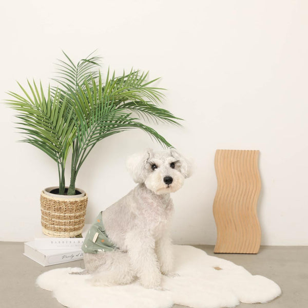 恐竜さん柄マナーベルト