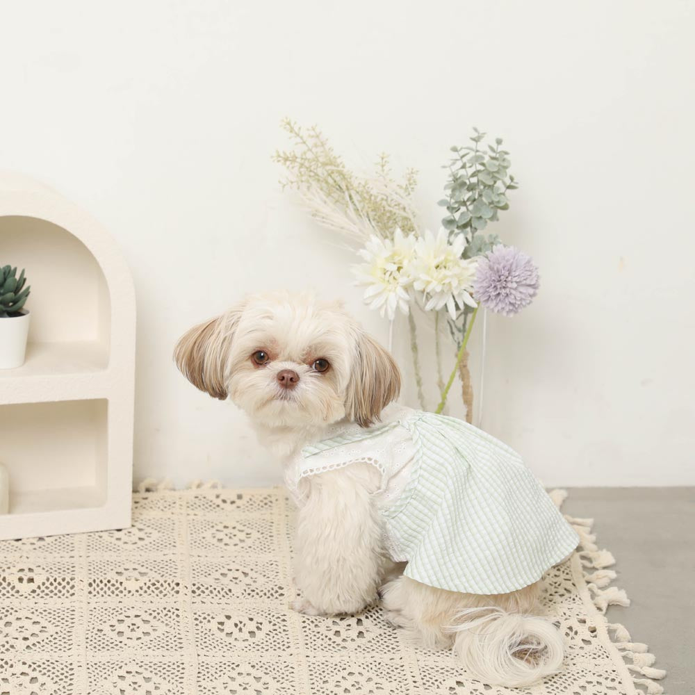Cold feeling insect repellent lace sleeveless cami dress