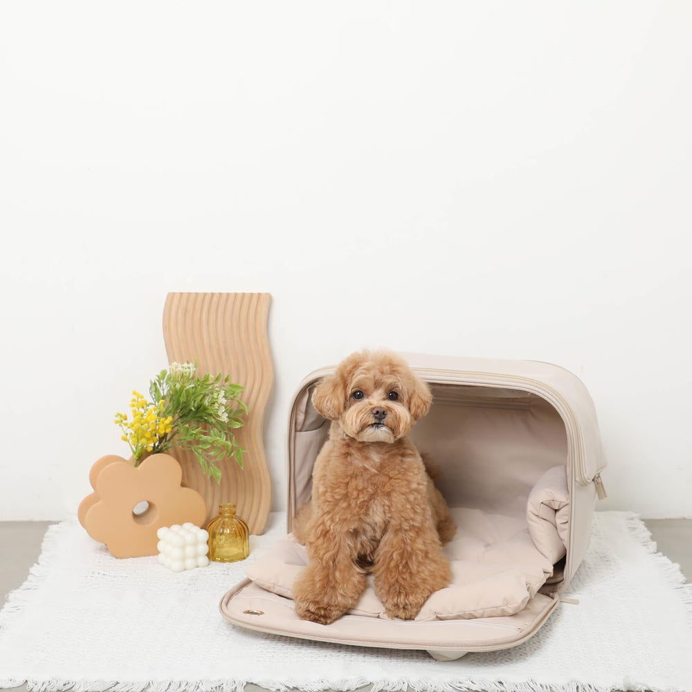 Water-repellent front open pet tote bag [compatible with name embroidery]